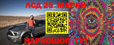 прущая мука Кингисепп
