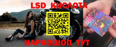прущая мука Кингисепп