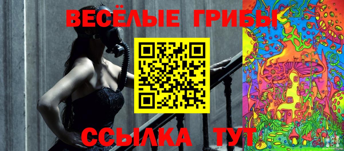 Кандалакша  Псилоцибиновые грибы Psilocybine cubensis  Вход с VPN  Галлюциногенные грибы Magic Shrooms 