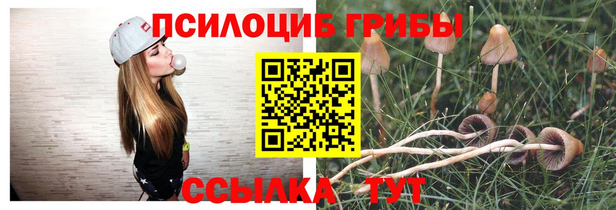 Псилоцибиновые грибы Magic Shrooms Кандалакша